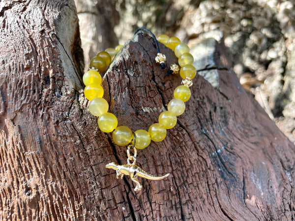 Extinct bracelets